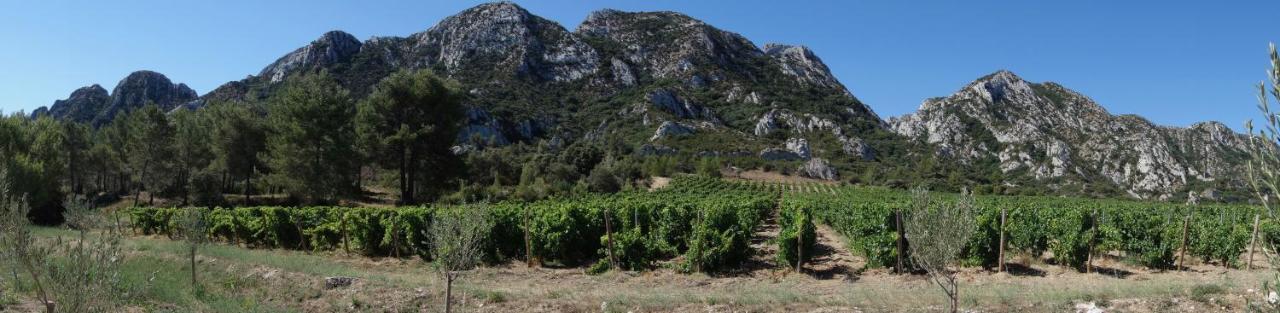 Les Lavandins-Gite Frédéric Saint-Rémy-de-Provence Extérieur photo