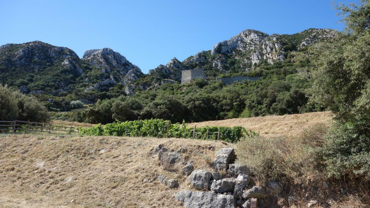 Les Lavandins-Gite Frédéric Saint-Rémy-de-Provence Extérieur photo