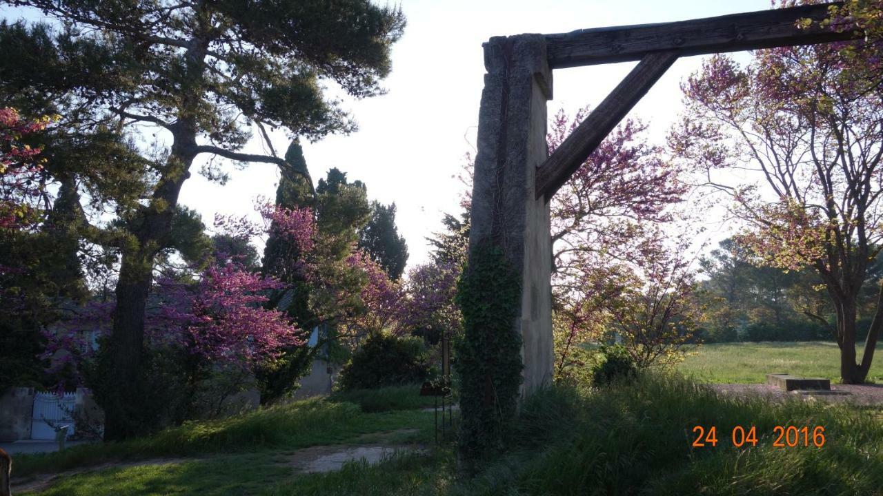 Les Lavandins-Gite Frédéric Saint-Rémy-de-Provence Extérieur photo