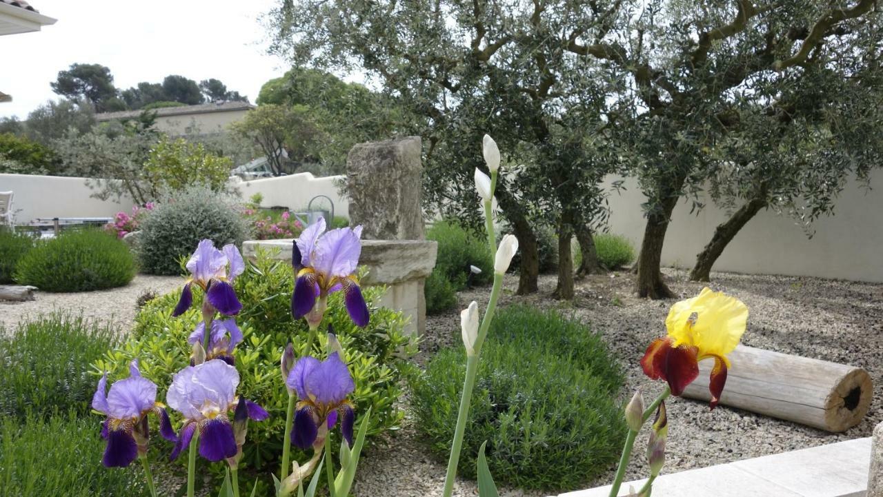 Les Lavandins-Gite Frédéric Saint-Rémy-de-Provence Extérieur photo